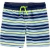 imageOSHKOSH BGOSH Boys Swim Trunks