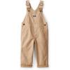 Brown Solid