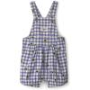 Blue/White Gingham