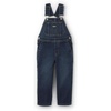 Dark Wash Denim