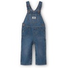 Blue Denim