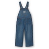 Blue Medium Wash
