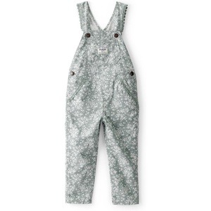 OSHKOSH B’GOSH baby-girls World’s Best Overalls(Green Floral Canvas)
