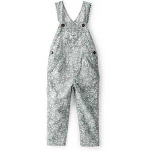 OSHKOSH B’GOSH Baby Girls World’s Best Overalls(Green Floral Canvas)